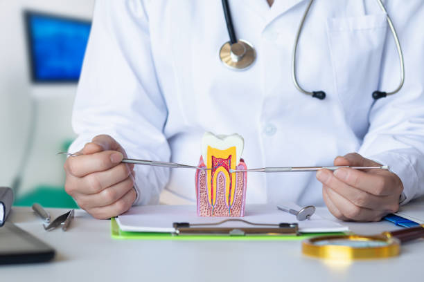 Best Dentist for Dental Trauma  in Leupp, AZ